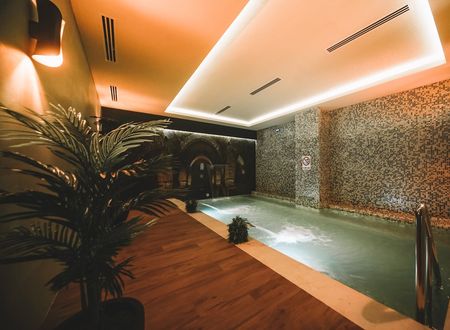 turkey/bursa/osmangazi/almirahotelthermalspaconventioncenter9d1b6543.jpg