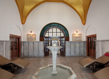 turkey/bursa/osmangazi/celikpalashotelconventioncenterthermalspafa16b393.jpg