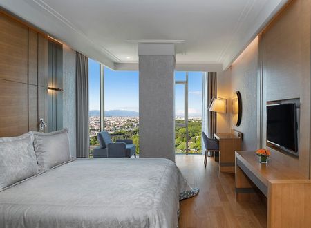 turkey/bursa/osmangazi/movenpickhotelthermalspabursaf30bcd62.jpg