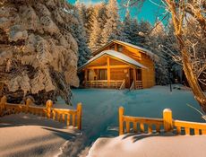 Bungalov