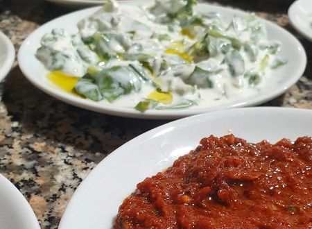 turkey/canakkale/ayvacik/assosnazanmotelrestaurantbeach5aea6e19.jpg