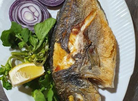 turkey/canakkale/ayvacik/assosnazanmotelrestaurantbeach8647c627.jpg