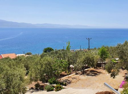 turkey/canakkale/ayvacik/assosnazanmotelrestaurantbeach908b4f50.jpg