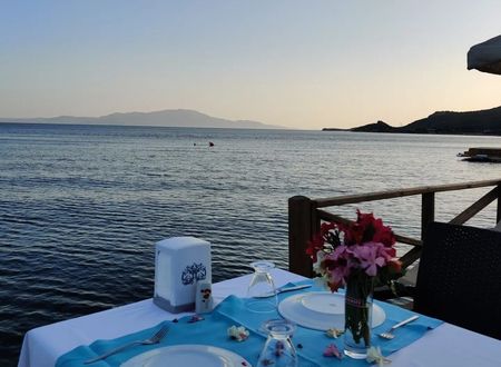 turkey/canakkale/ayvacik/assossardunyabutikotel3951c4c8.jpg