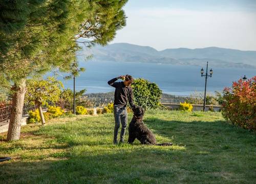 turkey/canakkale/ayvacik/casagalinihoteladultonly0848ee47.jpg