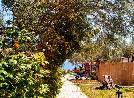 turkey/canakkale/ayvacik/helencampingbeachrestaurant7a2cc6e3.jpg