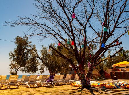 turkey/canakkale/ayvacik/helencampingbeachrestaurantd1c75fae.jpg