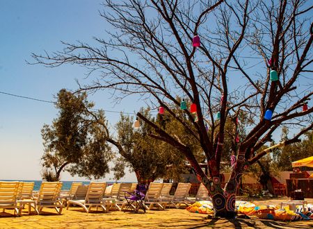 turkey/canakkale/ayvacik/helencampingbeachrestaurantf8f9ef4f.jpg