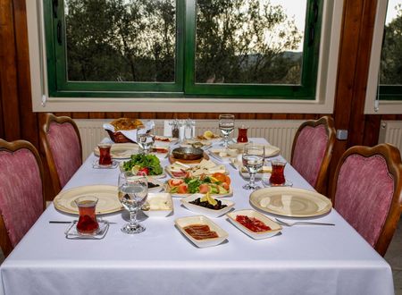 turkey/canakkale/ayvacik/kazdagiatilabeykonagiotel03c1d45a.jpg