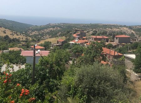 turkey/canakkale/ayvacik/pirnalkoyevi23f1e862.jpg