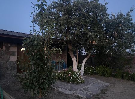 turkey/canakkale/ayvacik/sivriceyakamozmotel23d515af.jpg