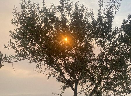 turkey/canakkale/ayvacik/sivriceyakamozmotel4c112ac9.jpg