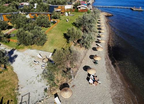 turkey/canakkale/ayvacik/tinyliferesorte161365f.jpg