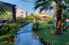 turkey/canakkale/ezine/gelincik7433c255.jpg