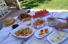 turkey/canakkale/ezine/geyiklidebahcelieve954e003.jpg