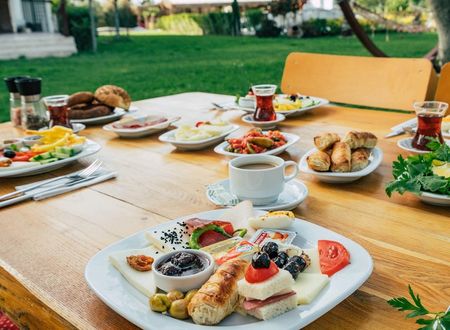 turkey/canakkale/ezine/helentroyahotelgeyikli5940b0f6.jpg