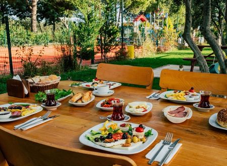 turkey/canakkale/ezine/helentroyahotelgeyiklia27512df.jpg