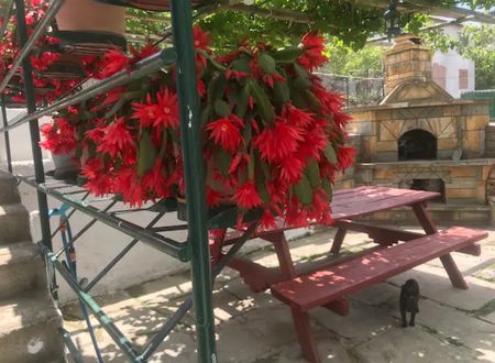 turkey/canakkale/gelibolu/guneylipansiyonaaba3e43.jpg