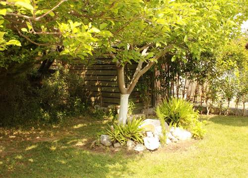turkey/canakkale/gokceada/alisboutiqueotel9bf7ba5c.jpg