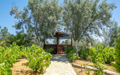 Korukçu Pansiyon · 3