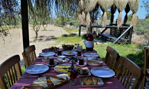 turkey/canakkale/lepetitpalacebozcaadad699d492.jpg