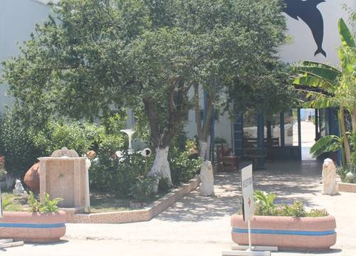 turkey/canakkale/mavisuresorthotel7846fd6f.jpg