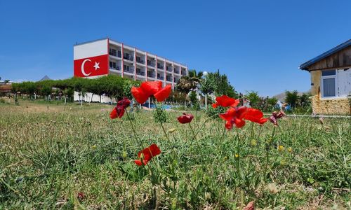 turkey/canakkale/mavisuresorthotel8a46b71e.jpg