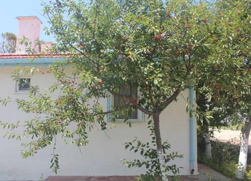turkey/canakkale/mavisuresorthotelc6a438d8.jpg