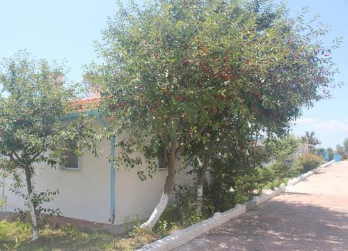 turkey/canakkale/mavisuresorthotele6b7c919.jpg