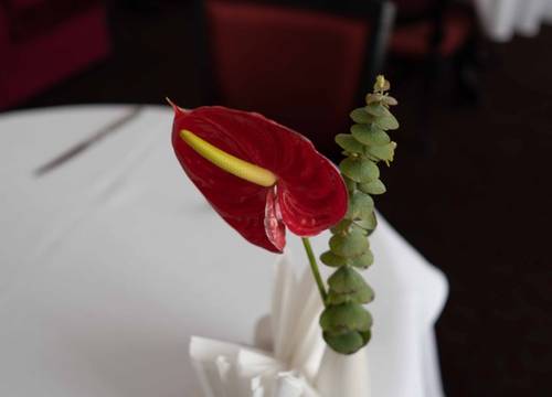 turkey/denizli/denizlimerkez/animboutiquehotelb4df9026.jpg