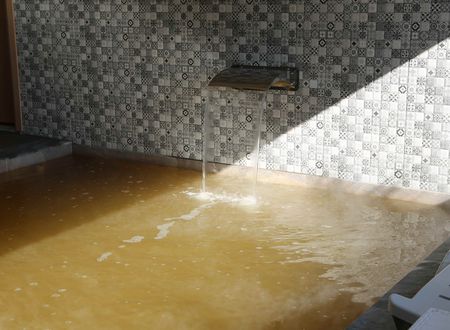 turkey/denizli/pamukkale/ladikhotel6a6daf7c.jpg