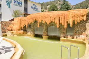 turkey/denizli/pamukkale/pamthermalhotelb6bf44d3.jpg