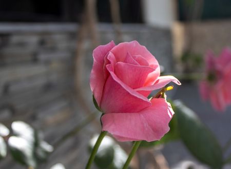 turkey/denizli/pamukkale/sunrosepansiyond1dfdc84.jpg