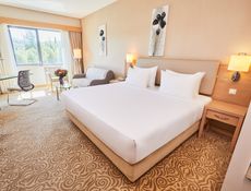 Deluxe Room 1 Double Bed