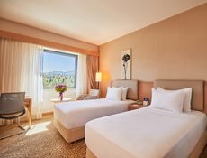 Superior Room 2 Single Beds