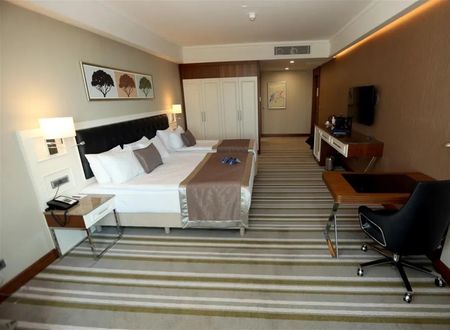 turkey/diyarbakir/radissonbluhoteldiyarbakir8a301d55.jpg