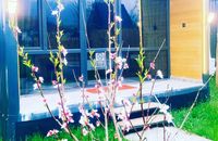 Isıtmalı spa havuzlu tek katlı ahşap bungalov ev