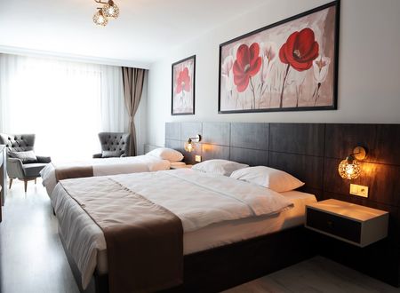 turkey/edirne/sarpersuiteshotel0407a2ea.jpg