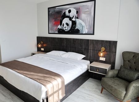 turkey/edirne/sarpersuiteshotel48a21c9c.jpg