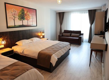 turkey/edirne/sarpersuiteshotelcf1dfad4.jpg