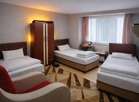turkey/erzurum/ariotel6a8c22d5.jpg