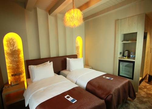 turkey/erzurum/snowdoraskiresorthotelsvillaeec70dd9.jpg