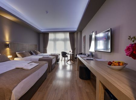 turkey/eskisehir/tepebasi/arushotel0c34b39f.jpg