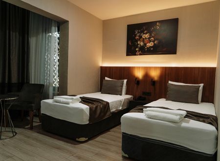 turkey/gaziantep/sahinbey/titizhotel463fea84.jpg