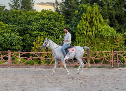 turkey/gaziantep/sahinbey/ugurlutermaltatilkoyuef8ca44a.jpg