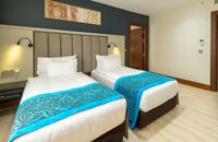 Standart  French Room