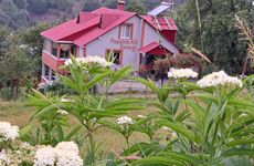 turkey/giresun/dereli/pasaninalikonagiee8c9b85.jpg