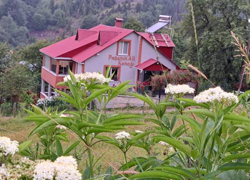 turkey/giresun/dereli/pasaninalikonagiee8c9b85.jpg