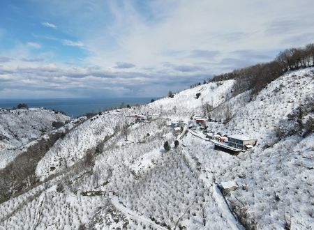 turkey/giresun/giresunhobbitkoy99e3a6d8.jpg