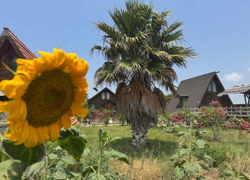 turkey/hatay/deniztesisleri365b465a.jpg